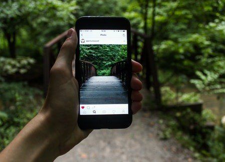 A person is holding a cell phone in their hand and taking a picture of a bridge in the woods.